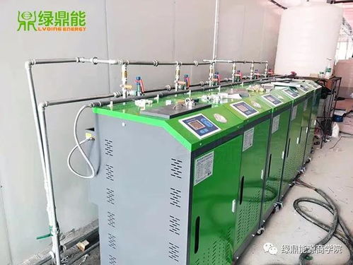 綠鼎能蒸汽發(fā)生器 高效賦能制藥廠生產(chǎn)建設(shè)工程設(shè)計