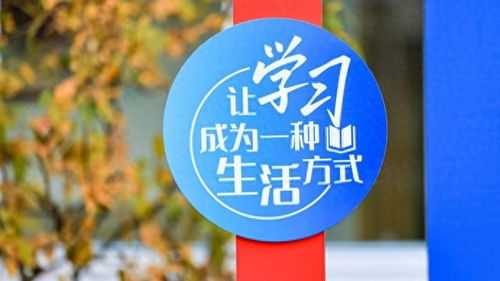 數字文化創意內容應用服務 徐匯打造開放式學習空間，賦能家門口的美好教育